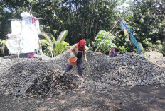 Cerita Ensi, Pemecah Batu di Lubuk Linggau Terik Matahari Menyengat Tetap Semangat Demi Nafkah