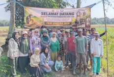 Dapat Hibah Kemenristek Dikti 2026, Dosen UNMURA PKM Edukasi Petani Olah dan Aplikasikan Asap Cair Jerami Padi