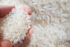 5 Cara Aman Konsumsi Nasi Bagi Penderita Diabetes dan Tips Memilih Beras Berkualitas
