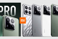 Xiaomi 15 Pro Sepaket dengan Xiaomi Pad 7 Series, Kelas Tertinggi di 2024 ini 