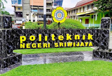 PTN Vokasi Membuka Seleksi SNBP 2025, Berikut 44 Politeknik dan Link Situs yang Tersebar di Indonesia 