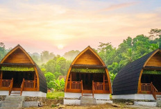 Hidden Gem Sejuk, Ayo Jeneh Ulu Malus Lubuk Linggau Siap Tambah 12 Vila Kayu Baru