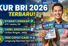 Tabel Angsuran KUR BRI Rp30 Juta Mei 2026, Cicilan Rendah Tanpa Jaminan