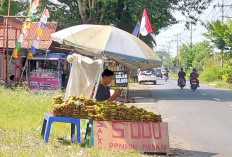 Salak Pondok Asal Medan 'Banjiri' Lubuk Linggau Hanya Rp 5.000 