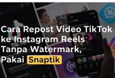 Cara Repost Video TikTok ke Instagram Reels Tanpa Watermark, Pakai Snaptik 