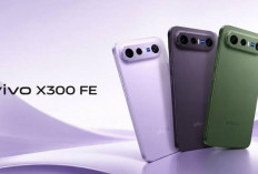 Vivo X300 FE Resmi Meluncur Juni 2026, Flagship Kompak dengan Snapdragon 8 Gen 5 dan Baterai 6.500mAh