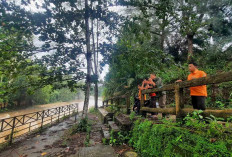 Memasuki Musim Penghujan BPBD Mura Imbau Masyarakat di DAS Selalu Waspada Banjir