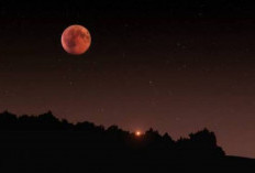 Gerhana Bulan Total Terang Malam Hari, Simak Tips Mengamati dan Ibadahnya