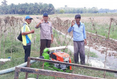 Bantuan Pompanisasi Bantu Petani Percepat Musim Tanam