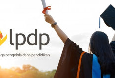 Kesempatan Emas! Beasiswa LPDP 2025 untuk Daerah Afirmasi Dibuka Kembali, Begini Cara Daftarnya