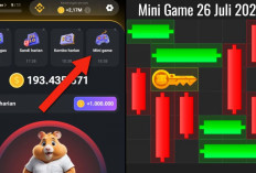 Update Terbaru Kunci Mini Game Hamster Kombat Hari Ini 26 Juli 2024, Ikuti Polanya Dalam Waktu 30 Detik