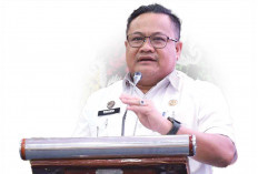 Sekda Lubuk Linggau : PPPK Paruh Waktu Jangan Resah