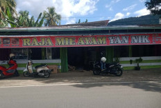 Enak Banget! Ini Rahasia Kelezatan Raja Mie Ayam Yan Nik yang Bikin Ketagihan Wong Lubuk Linggau