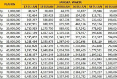 Tabel KUR BRI 2026 Terbaru, Simulasi Cicilan Pinjaman Rp20-50 Juta Mulai Rp396 Ribuan