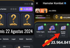 Combo Harian Hamster Kombat Hari Ini 22 Agustus 2024, Garap Hingga 5 Juta Koin Gratis