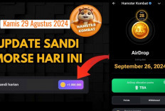 Baru Sandi Harian Hamster Kombat Hari Ini 29 Agustus 2024, Dapatkan hingga Jutaan Koin Gratis