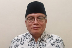 10 Guru Sertifikasi SMAN 7 Lubuk Linggau Tak Dapat Jam Mengajar Kini Mengajukan Pindah