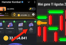 Update Terbaru Kunci Mini Game Hamster Kombat Hari Ini 11 Agustus 2024, Ikuti Polanya Dalam Waktu 30 Detik