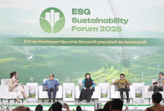 Di Forum ESG, Hashim Apresiasi Peran Aktif Perdagangan Karbon Indonesia, Terbesar dari PLN