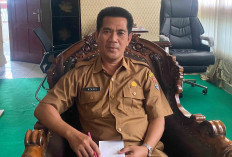 Realisasi Program Bantuan untuk UMKM Sebesar Rp 2 Juta di Lubuk Linggau Masih Tunggu Regulasi