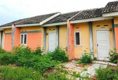 128 Perumahan di Lubuk Linggau, 60 Developer Tidak Bertanggung Jawab, Siapa Mereka?