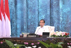 Perdana di Ibu Kota Nusantara, Presiden Joko Widodo Gelar Sidang Kabinet Paripurna di IKN, Ini yang Dibahas 