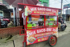 Kuliner Lubuk Linggau: Cobain Lezatnya Mie Gaco-One 354