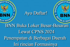 Ayo Daftar! BNN Buka Loker Besar-Besaran Lewat CPNS 2024 Penempatan di Berbagai Daerah, Ini rincian Formasinya