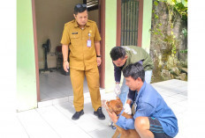 Vaksin Rabies Rutin Dilakukan, Petugas Puskeswan Siap Datangi Rumah Warga