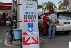 Bocor! BBM Subsidi Mulai 1 Oktober, Kendaraan Ini Dilarang Nenggak