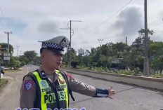 Kasat Lantas Muratara Ingatkan Pemilik Kerbau Tak Liarkan Hewan Ternaknya ke Jalan. Banyak Pengendara Pemudik 