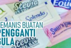 Pilihan Pemanis Buatan rendah Kalori, Berikut 5 Pilihin Terbaik untuk Kesehatan