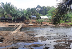  Jembatan Permanen di Wisata Sungai Malus Belum Dibangun, Warga Gunakan Jembatan Bambu untuk Akses ke Kebun 