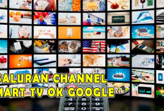 Smart TV di Google Assistant Makin Untungkan OK Google dengan Hadirnya Banyak Saluran Channel