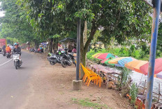 Bisnis Kreatif Pedagang Pinggir Jalan Merasi, Membangun Peluang Bisnis dari Suasana Unik