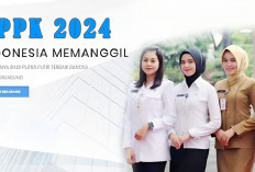 Info Pendaftaran CPNS dan PPPK 2024 Segera Dibuka, Tahapan Akhir Minggu ke 3 Agustus 