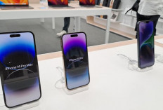 Daftar Harga iPhone di iBox per Desember 2025