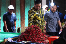 Sidak di Pasar, Sekda Temukan Makanan Mengandung Bahan Pengawet Mayat
