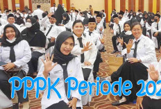 Formasi PPPK 2024 Muba Terbanyak dari Lubuklinggau Musi Rawas, Berikut Jadwal dan Rincian Formasi Kementerian 