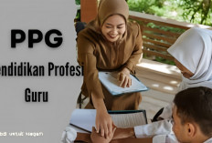 Sertifikasi PPG Daljab Kemenag Akan Dimulai Maret 2025 untuk Kesejahteraan Guru, Ini Rincian Kategori Gurunya