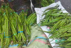 Pete Dusun Jadi Primadona, Pembeli Rela Borong Setiap Hari
