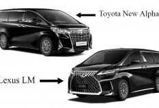 6 Perbedaan Mobil MPV Mewah, Lexus LM dan Toyota New Alphard Ada Kemiripan
