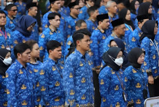 Gaji PPPK Paruh Waktu 2025 Lebih Besar dari PPPK Penuh Waktu Benarkah? Ini Nominalnya