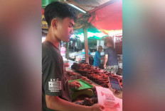 Beragam Jenis Ikan Salai Dijual di Pasar Inpres