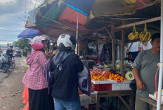Deretan Pedagang Buah di Moneng Sepati Tawarkan Jeruk Santang, Ini Manfaatnya bagi Kesehatan