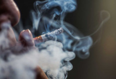 Hai Pemuda Sayangi Nyawamu, Sebatang Rokok Mengandung 4.000 Jenis Bahan Kimia Berbahaya  