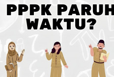 PPPK Paruh Waktu Bisa Berakhir dengan 11 Alasan Ini, Kok Bisa? 