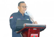 Warga Dihimbau Waspada, Sebanyak 296 Warga Lubuk Linggau Tertular DBD