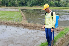 Petani Desa Rejosari Musi Rawas Siap Tanam Padi Serentak