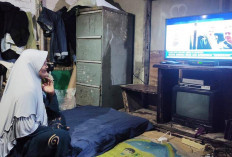 PLN Siap Listriki 780 Ribu Rumah Tangga Lewat Program Lisdes 2025–2029 di RUPTL Baru